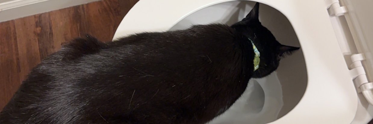 adirall19's profile banner image