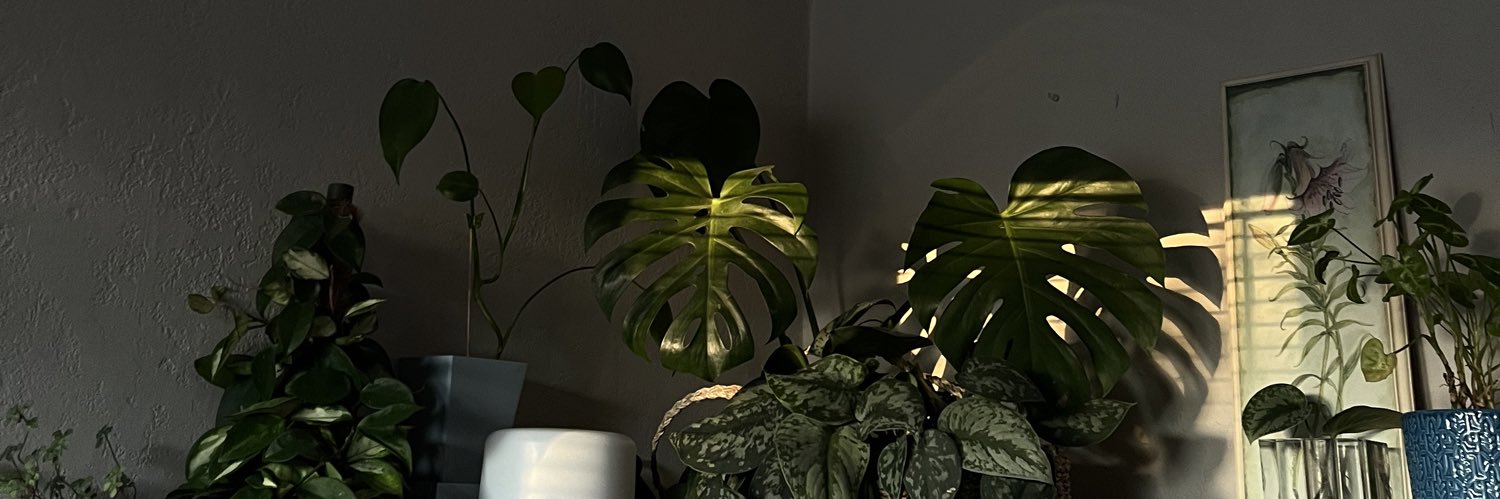 idfkles's profile banner image