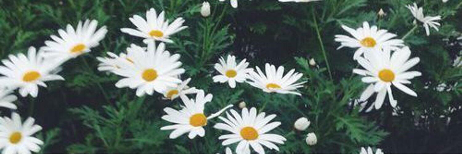 __afiqahnurr's profile banner image