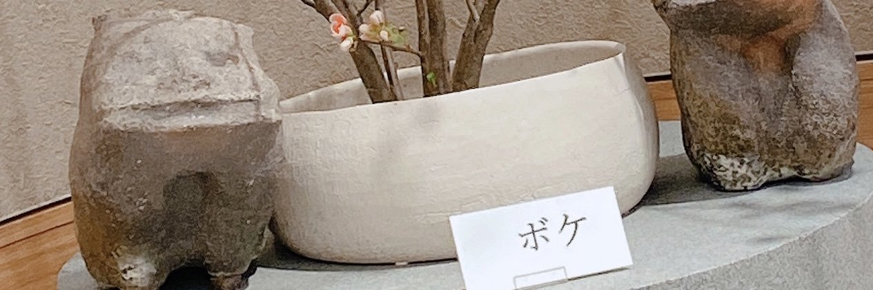 _icqn's profile banner image