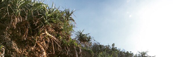 kaa__82's profile banner image