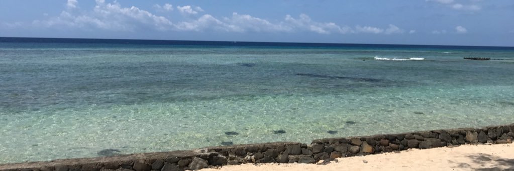 Ryan Westcombe banner