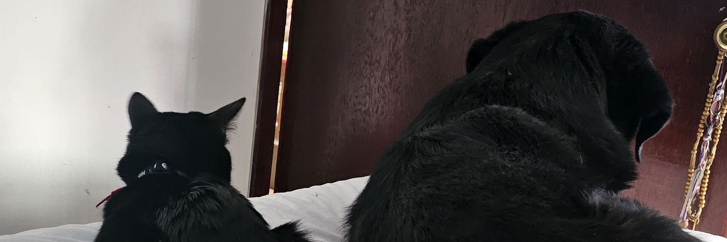 MonnQuinn's profile banner image
