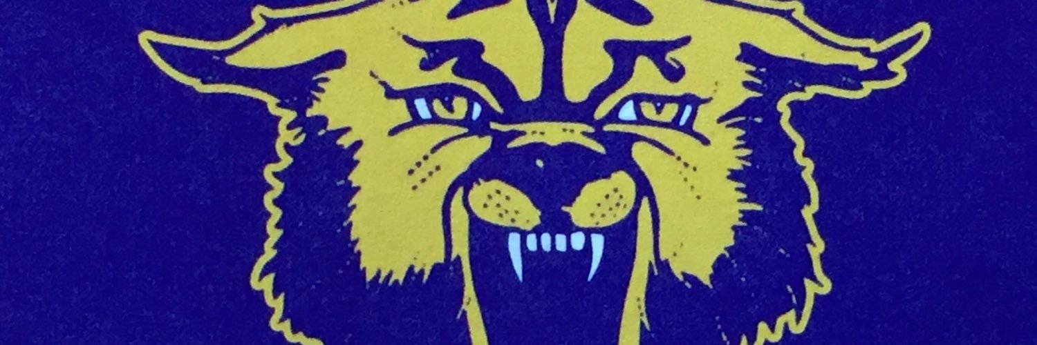 BLFDwildcats's profile banner image