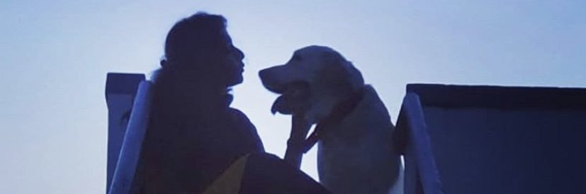 sublue22's profile banner image