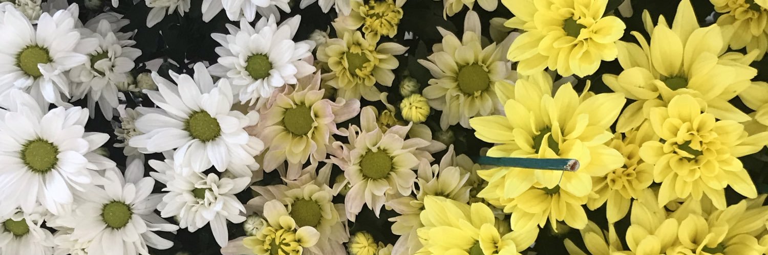 ummitsjoey's profile banner image