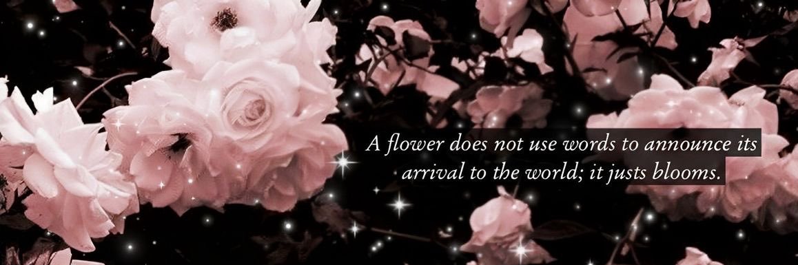 cielodiperle's profile banner image