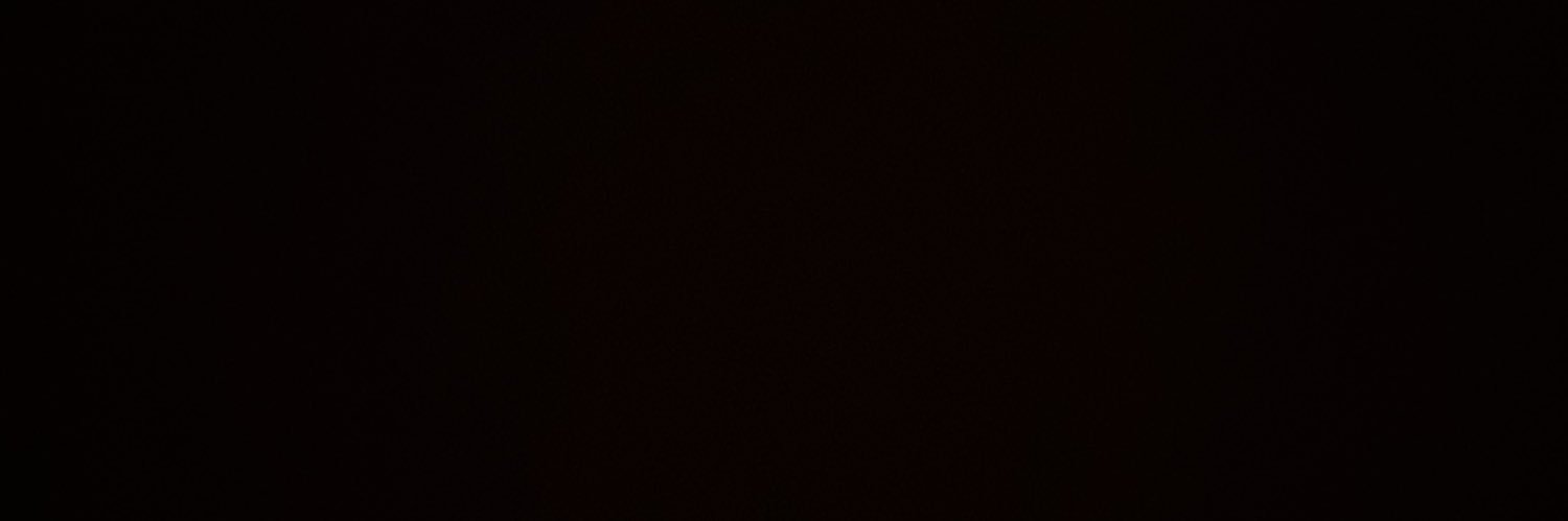 devinlars's profile banner image