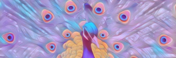 s_schal34's profile banner image