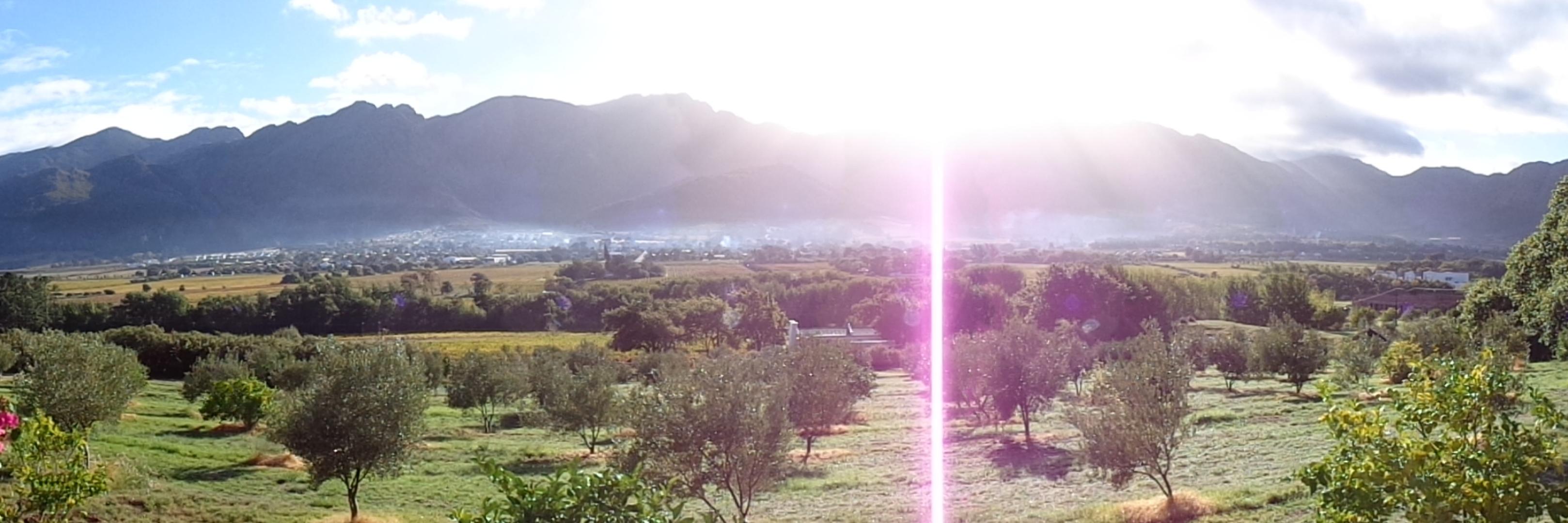 arjenterbraak's profile banner image