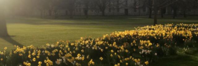 CamillaLongden's profile banner image