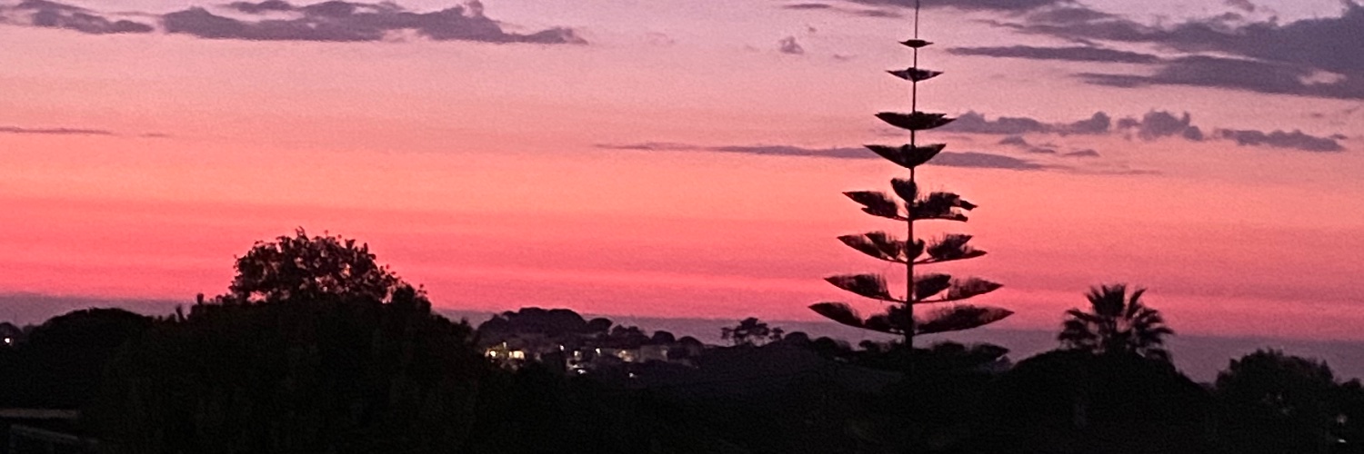passaspassinhas's profile banner image