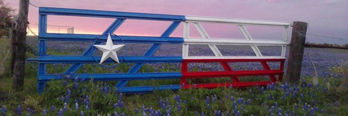 robo_blake's profile banner image