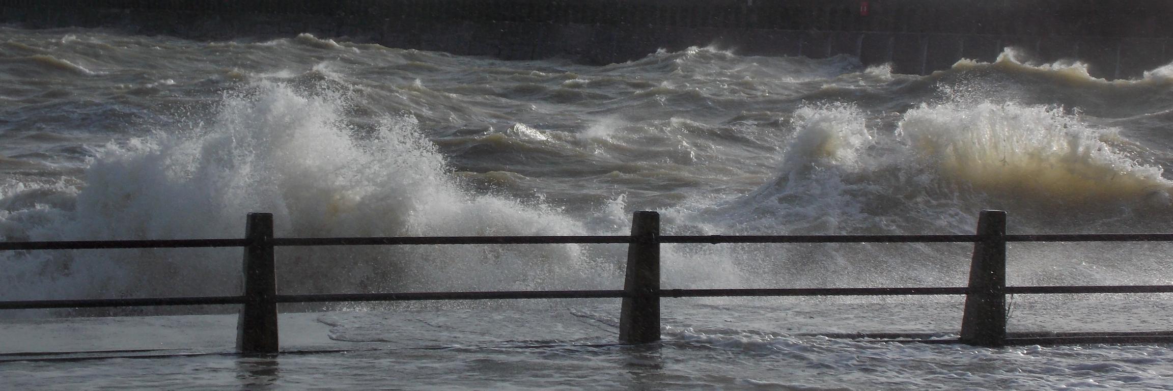 Alexandra Pigg banner