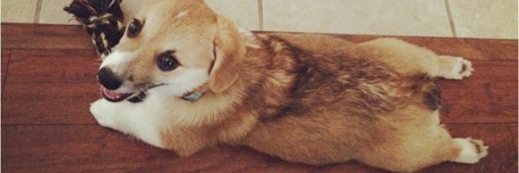 ashleeeighty's profile banner image
