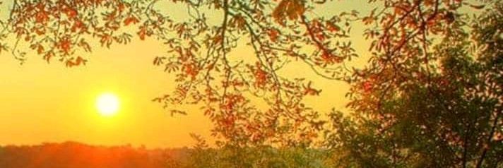 PavanKrShukla's profile banner image