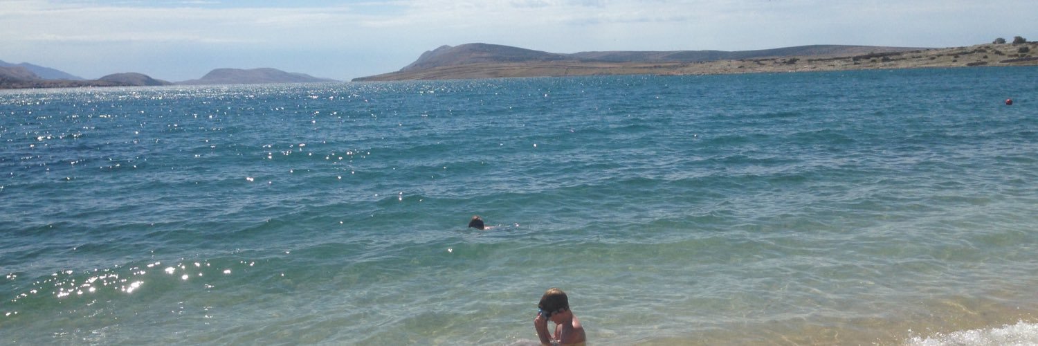 Mirjana Simic banner