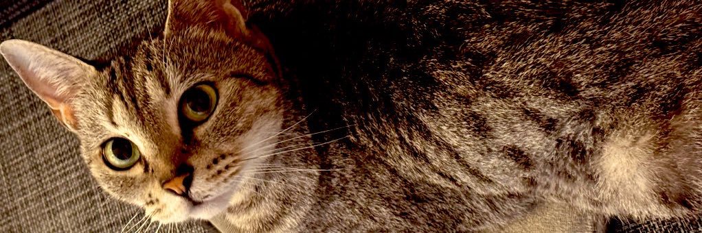 pontsum11's profile banner image
