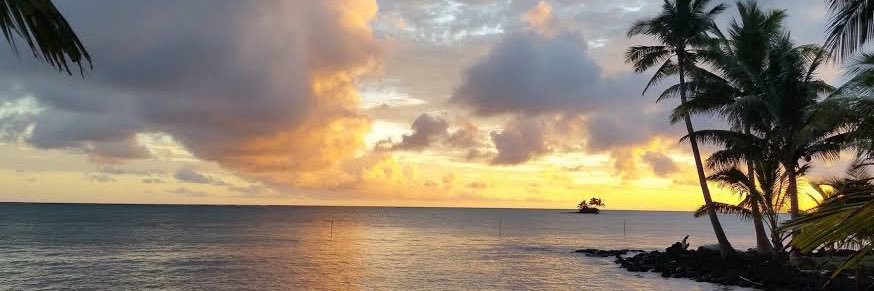 Daniel Halawi banner