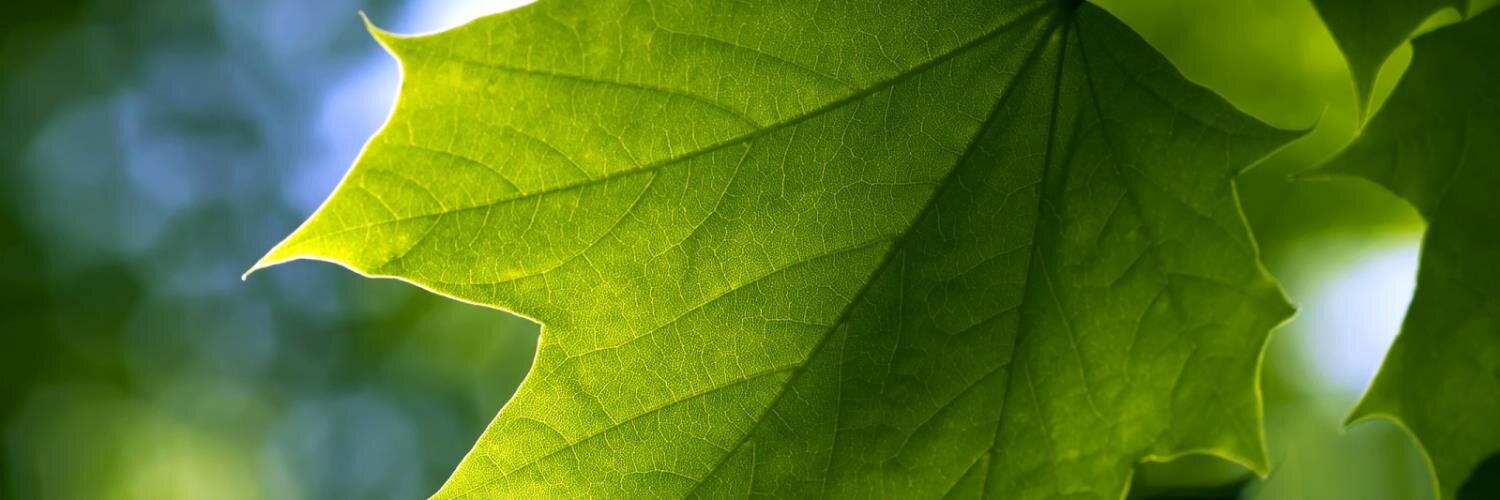 Folaboid's profile banner image