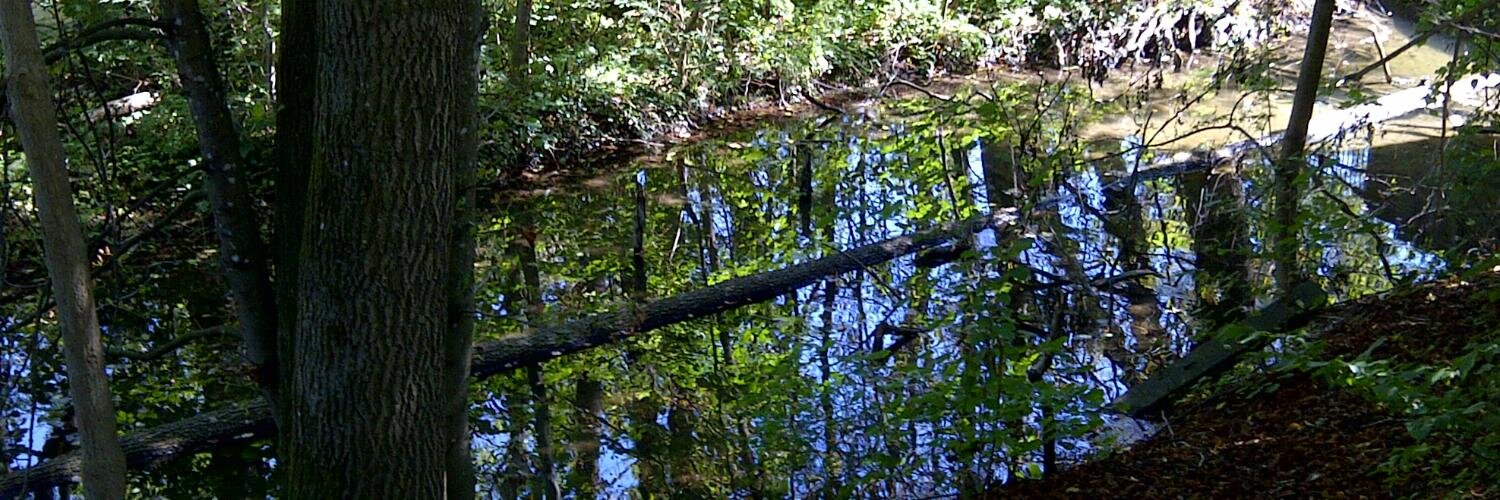 Edith Glauß 🪶🥁📯🔎🐦 banner