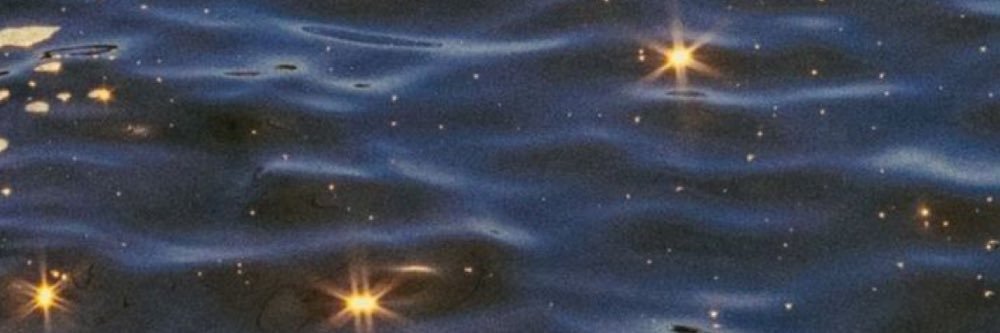 druberry 🫐's banner