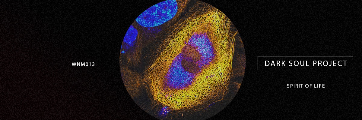 Dark Soul Project banner