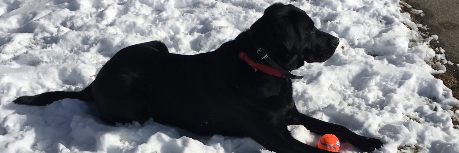 BrandeeNelson24's profile banner image