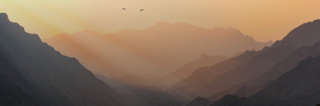 Chris Gage banner