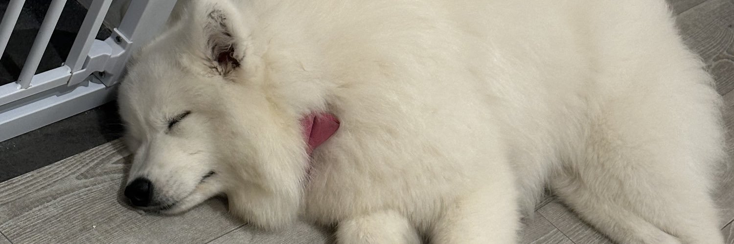 Noiep_'s profile banner image