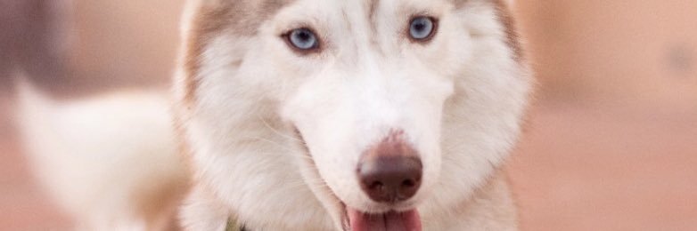 danielperezb1's profile banner image