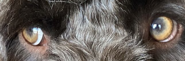 ceejcee's profile banner image