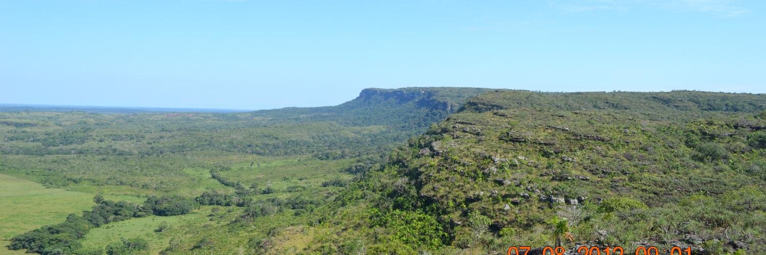 P. Catalina Chaparro banner