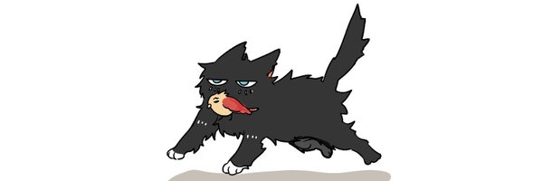 _sarfn Profile Banner