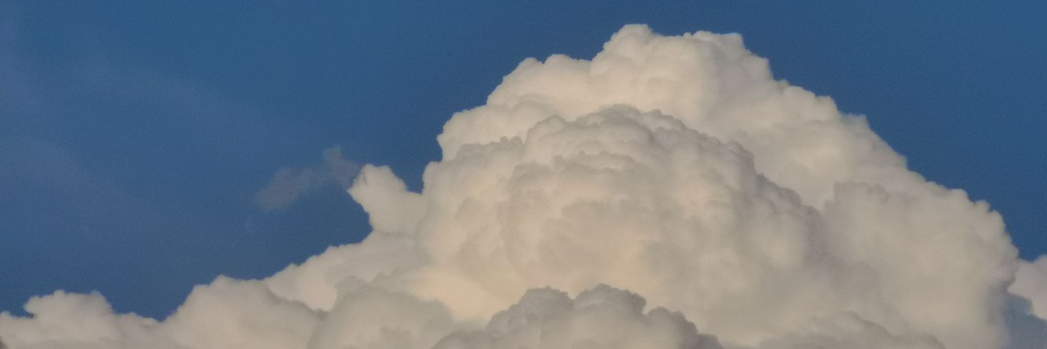 DeadCryptid's profile banner image