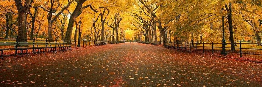 ines elmezouari banner