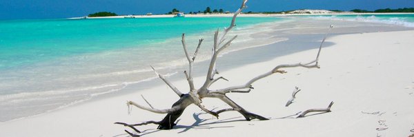 vicentteserrano Profile Banner