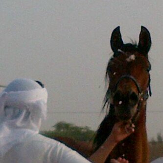 ALQANAS7's profile banner image