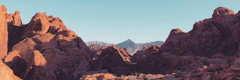 coltonleemd's profile banner image