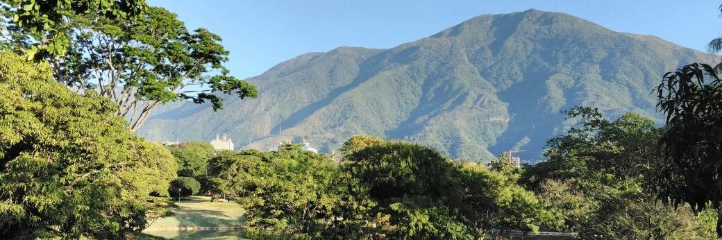 Gladys Casado banner