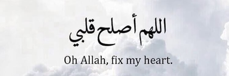 LatifaALsaeed's profile banner image