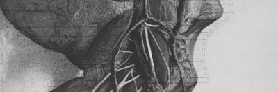 FemJohnlock's profile banner image