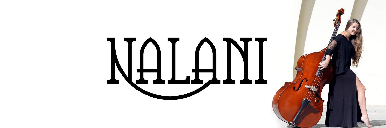 nalanimusic's profile banner image