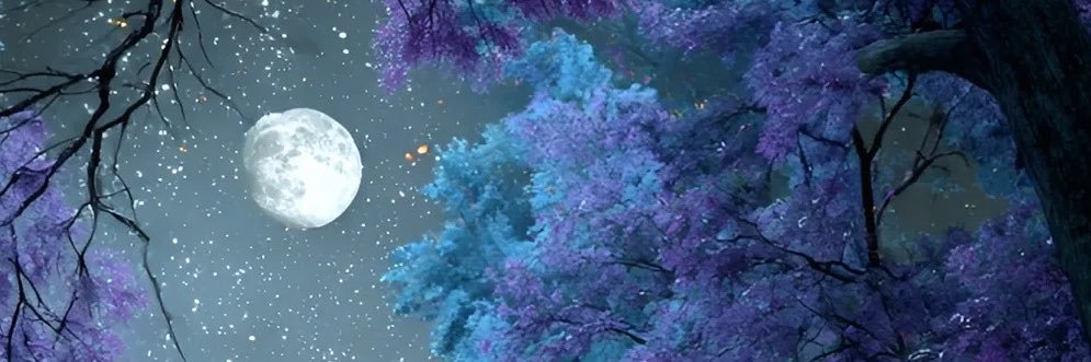 Cylva1's profile banner image
