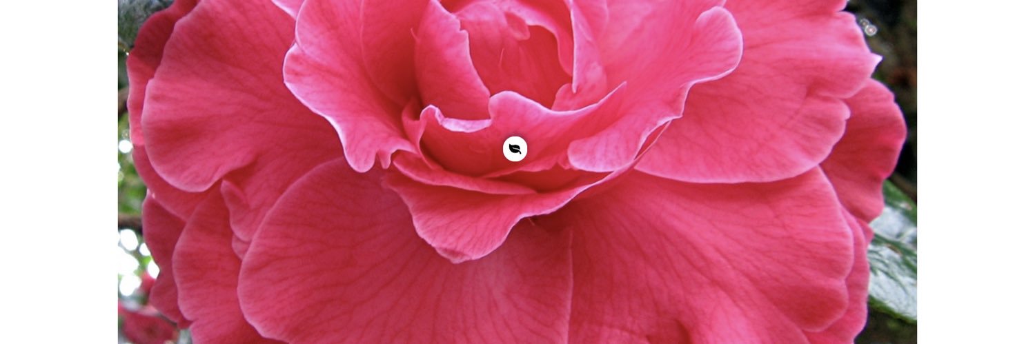 anne4_yates's profile banner image