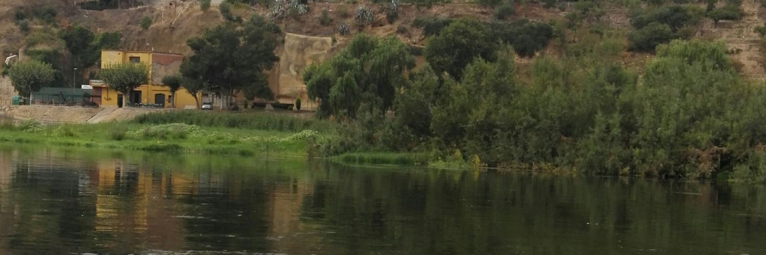 Crypto Mengano banner