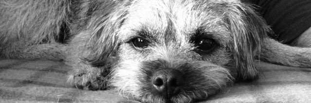 Brushmonkey1's profile banner image