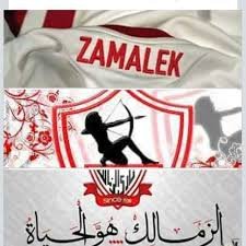 م/عماد السنوسي banner