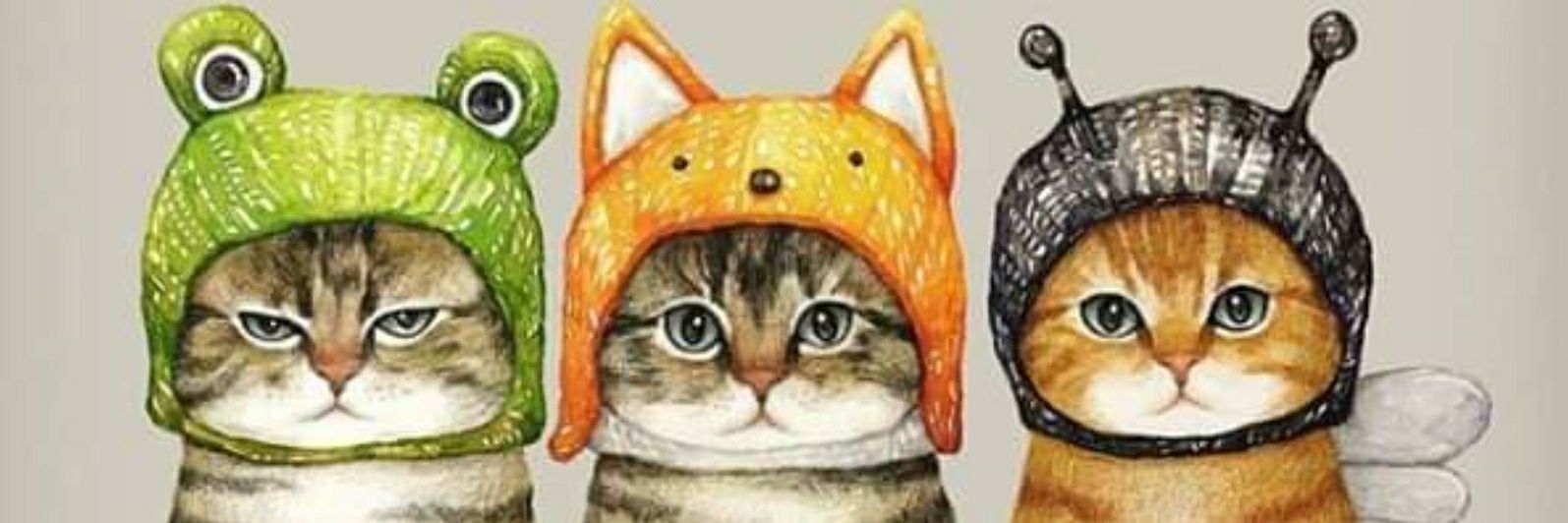 Susireiki's profile banner image