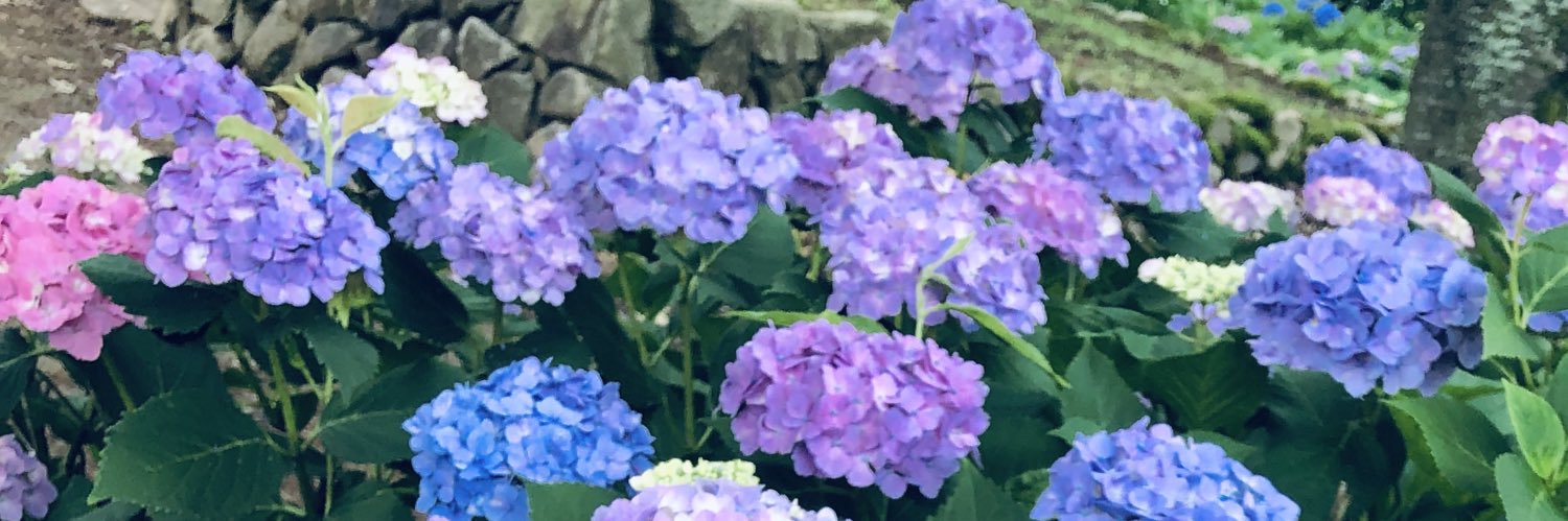 な banner